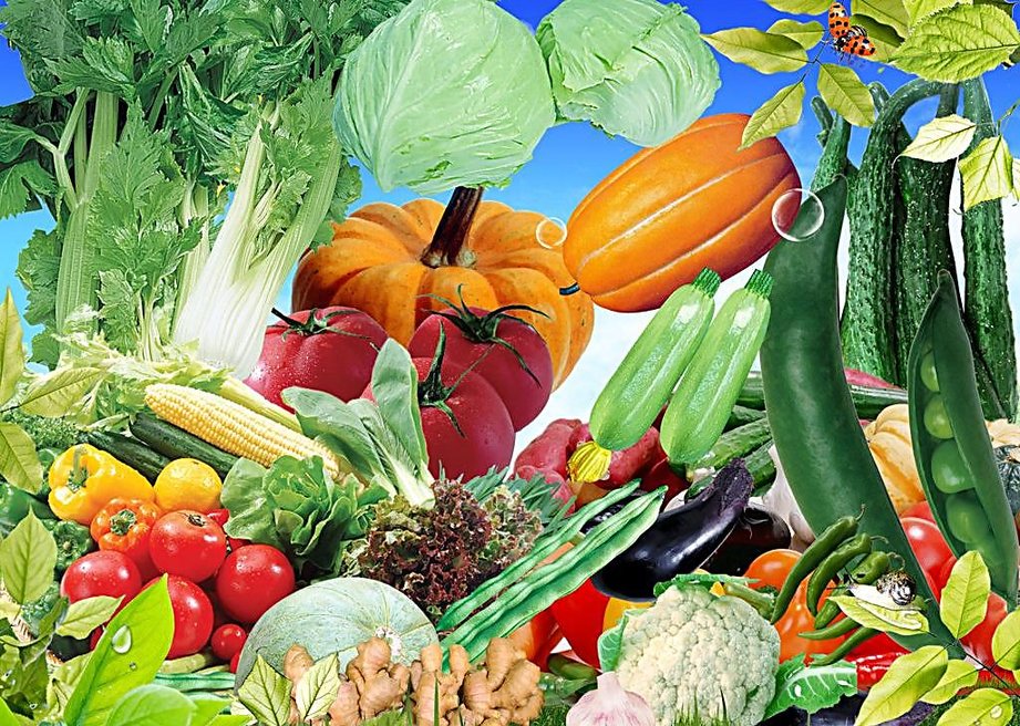 气温骤降，耐储存蔬菜市场价格涨高！