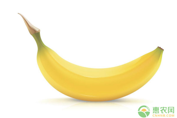 早中晚吃香蕉有什么好处？2019年各地区香蕉市场价格行情
