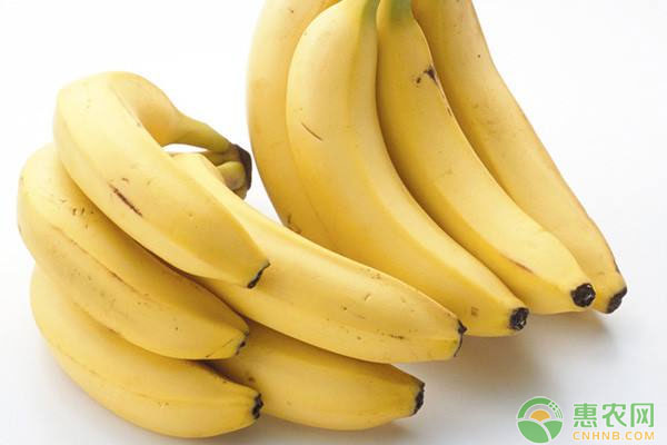 早中晚吃香蕉有什么好处？2019年各地区香蕉市场价格行情