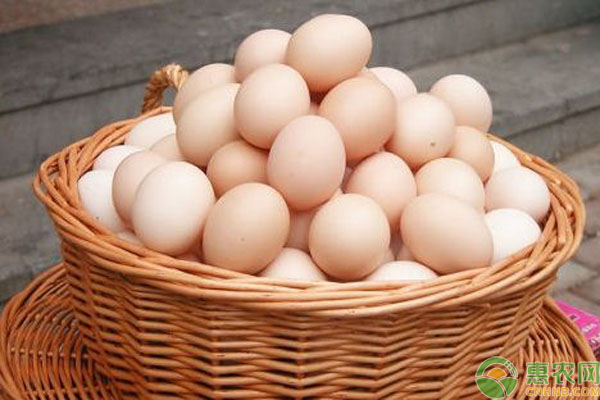 今日鸡蛋价格如何？