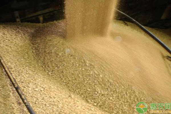 目前豆粕多少钱一吨？2019各个地区豆粕收购价格行情