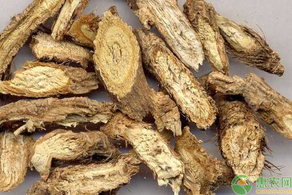 农村山区适合种植哪些中药材？推荐几款有前景的给您