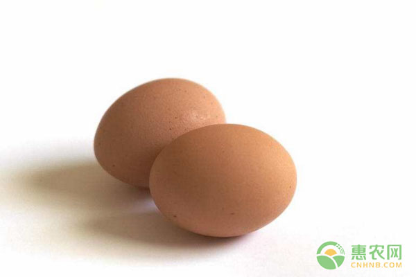 今日鸡蛋多少钱一斤？2019全国鸡蛋价格及行情走势分析