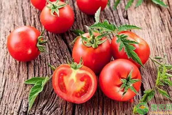 今日西红柿多少钱一斤？