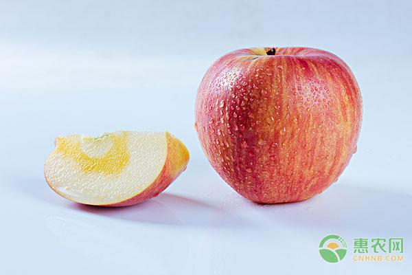 今日苹果多少钱一斤？
