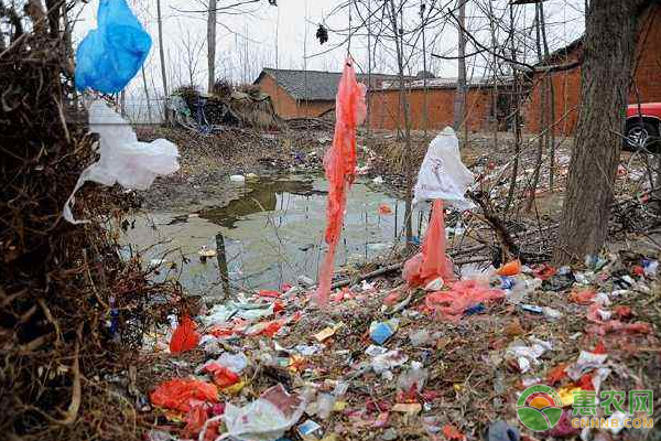 面对农村乱扔垃圾现象，我们可采取哪些措施？