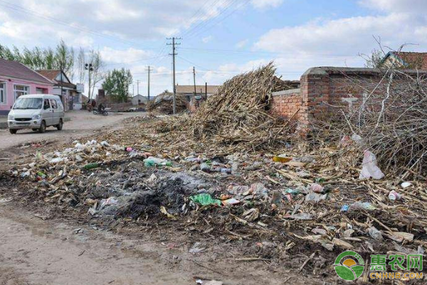 面对农村乱扔垃圾现象，我们可采取哪些措施？