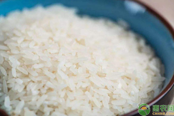 大米多少钱一斤？后期行情如何？最新大米价格行情分析