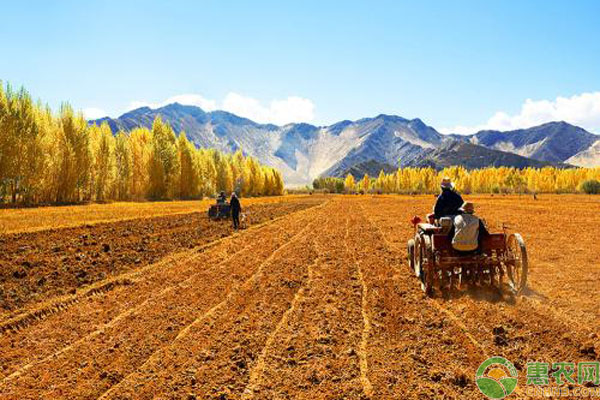 2019国家加大农村发展力度，新型农业经营主体补助将提高！