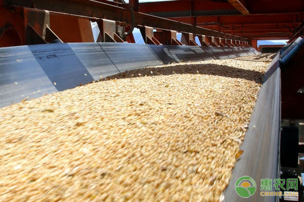 目前豆粕多少钱一吨？