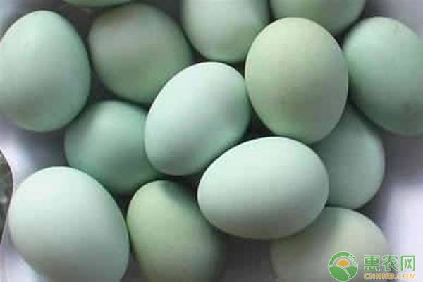 2019年鸭蛋多少钱一斤？有哪些营养价值？如何识别假鸭蛋？