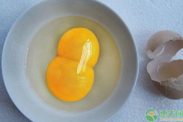 双黄蛋是怎么形成的？吃多了会对人体有害吗？