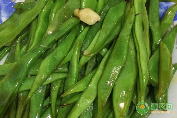 今日刀豆价格多少钱一斤？有哪些营养功效？什么时候播种？