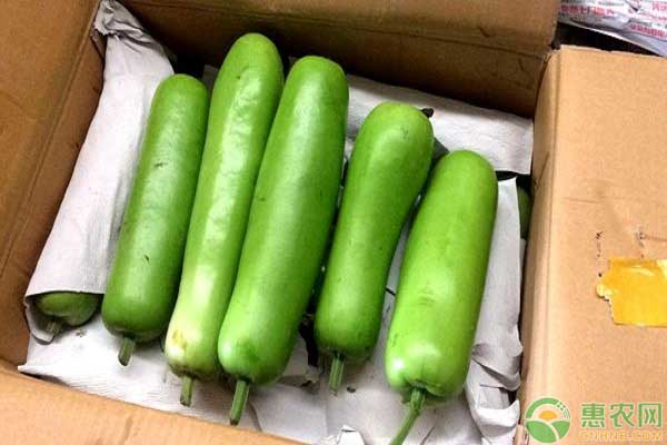 瓠瓜的主要品种 瓠瓜的主要品种