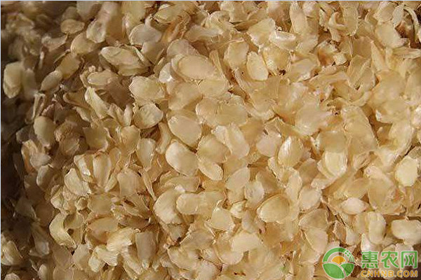 现在皂角米多少钱一斤？皂角米的功效作用与禁忌
