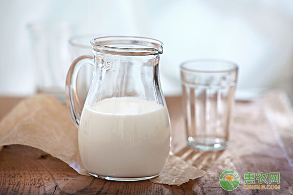 人造奶有哪些成分？相比于传统牛奶的优势在哪？