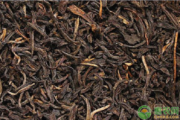 2019年红茶价格多少钱一斤？红茶的功效与作用
