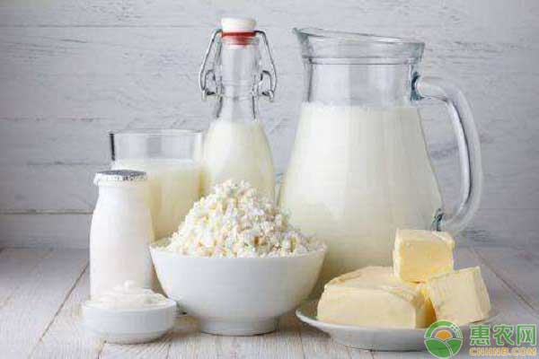 人造奶的营养结构