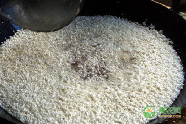 今日冻米价格多少钱一斤？有哪些功效与作用？