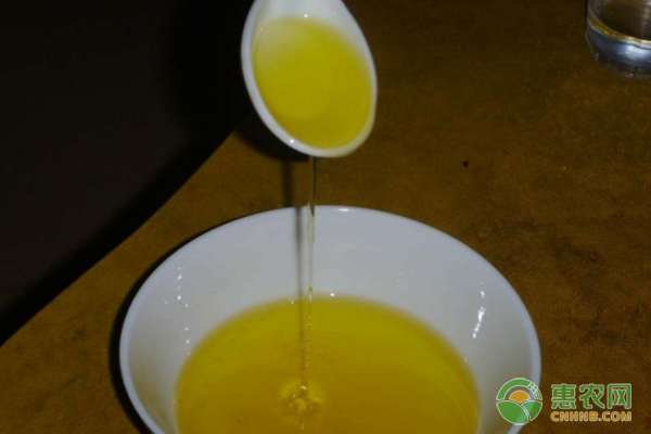 茶叶籽油的做法