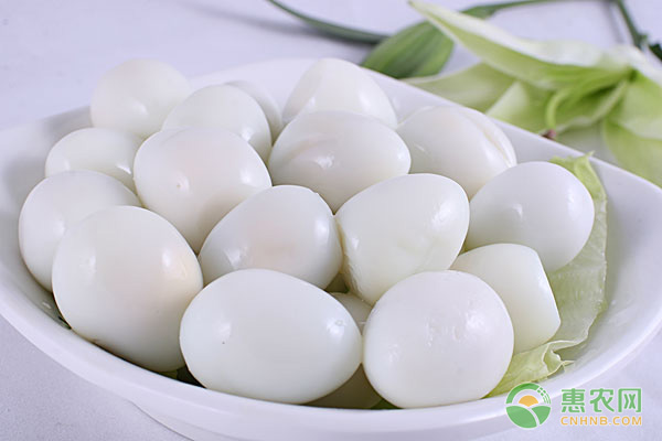 蛋的常见品种有哪些？它们各有什么营养价值与食用禁忌？