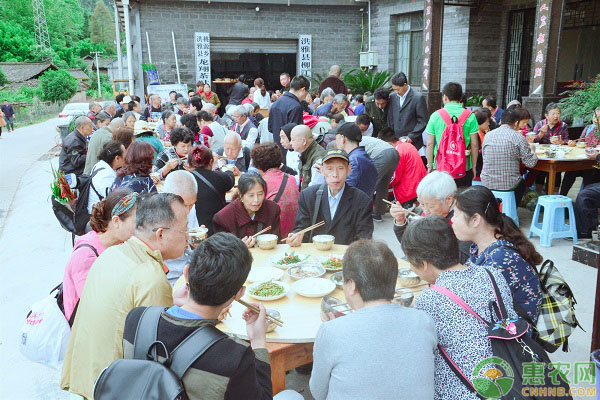 洪雅县以竹文化为核心，发展苦笋产业模式，实现乡村振兴