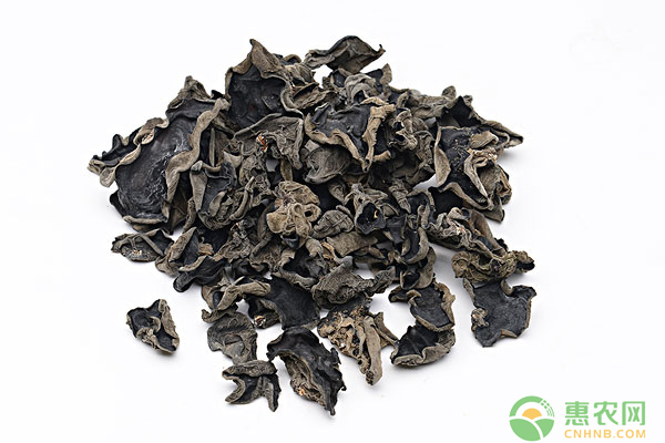 干<a href='https://www.cnhnb.com/p/muer/' class='j-href' target='_blank'><span style='color:#FF8001'>木耳价格</span></a>