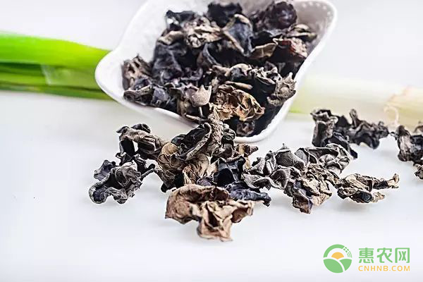 干木耳的保存方法