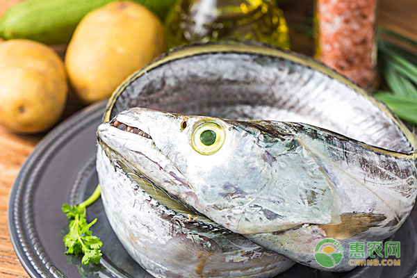 2019年带鱼最新价格多少钱一斤？带鱼有什么营养与功效？