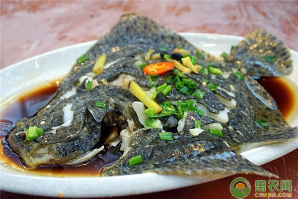 比目鱼的食用功效 比目鱼的食用功效