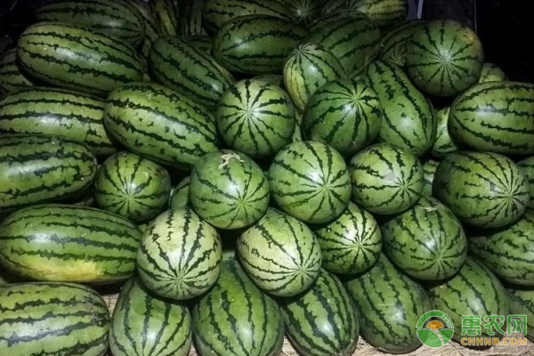 夏天如何买到又甜又大的西瓜？这三招值得借鉴！