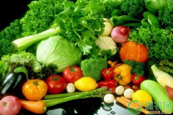 农村有哪些蔬菜种植模式？推荐四种常见的给您！