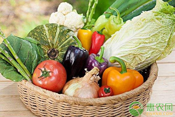 农村有哪些蔬菜种植模式？推荐四种常见的给您！
