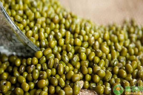 大暑习俗民间吃什么食物？过了大暑还要热多久？