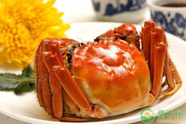 大闸蟹死了还能吃吗？吃了对身体有什么影响？这些你一定要知道！
