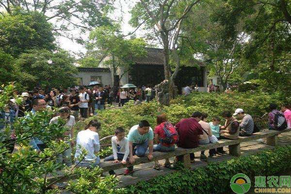 Kaiyun 开云在农村开办农家乐旅游是否有前景？2019年农家乐项目推荐与分析(图2)
