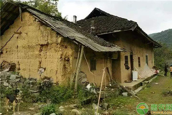 宅基地三权分置
