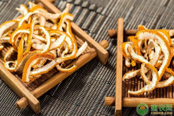 陈皮的功效
