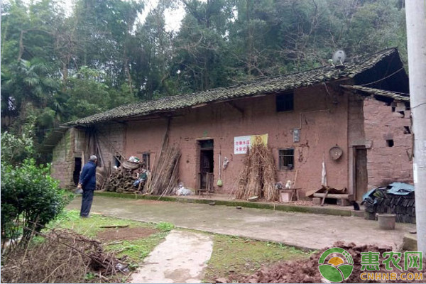 什么是宅基地盘活?盘活宅基地的方式有哪些? 什么是宅基地盘活?盘活宅基地的方式有哪些?