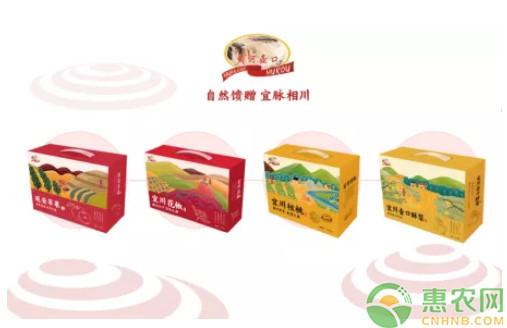 惠农网打造“黄河壶口”区域公用品牌 为宜川农业品牌化发展赋能