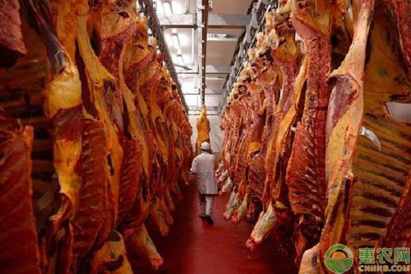 牛肉涨价原因
