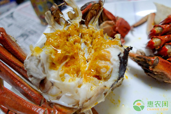 大闸蟹什么季节吃最好?