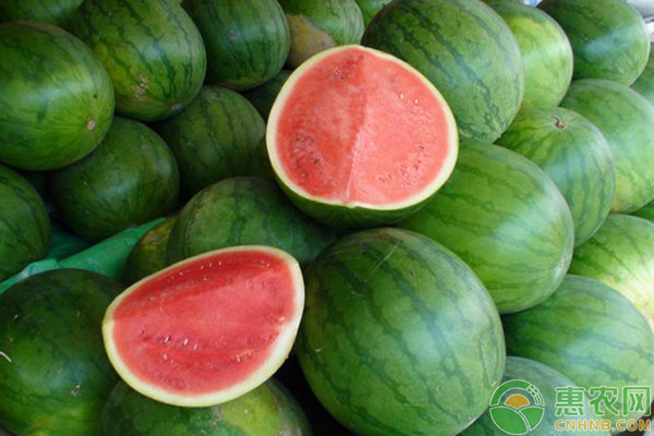 哪个品种西瓜最甜？常见优质西瓜品种介绍