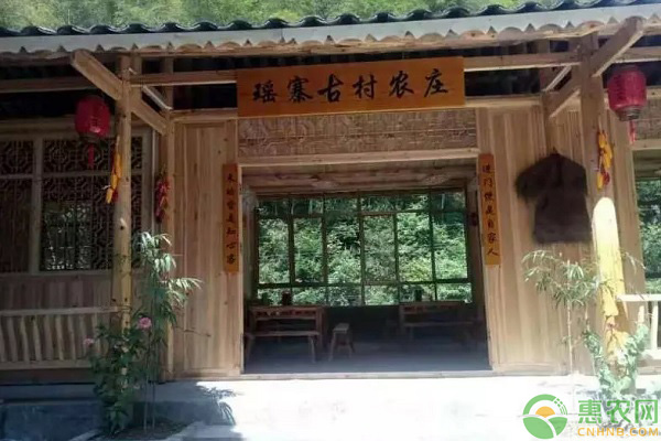 放弃奋斗十年的高薪工作，她回到家乡罗溪瑶乡造了一个“世外桃源”!