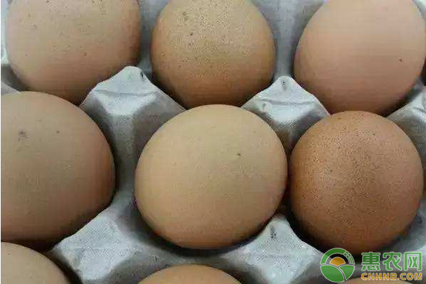 鸡蛋价格为什么会上涨？何时回落？2019最新鸡蛋价格行情分析