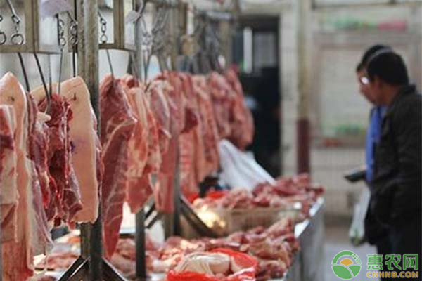 上海一斤猪肉多少钱？2019年的猪肉市场行情预测！
