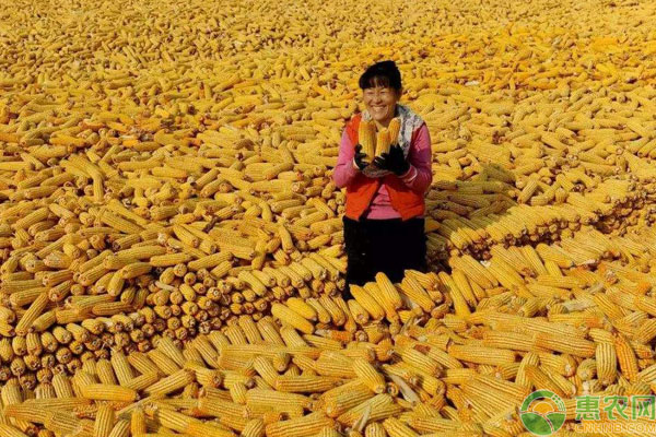 设立“中国农民丰收节”有何意义？具体是哪一天？