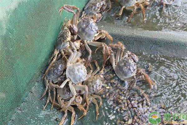 什么是气象指数保险？气象指数保险产品有哪些？