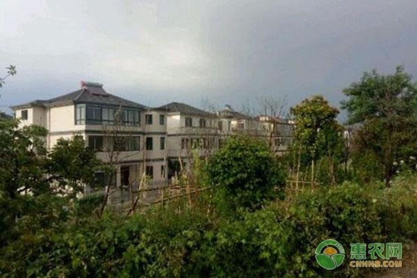 农村土地确权与不确权区别巨大，跟钱有很大关系！