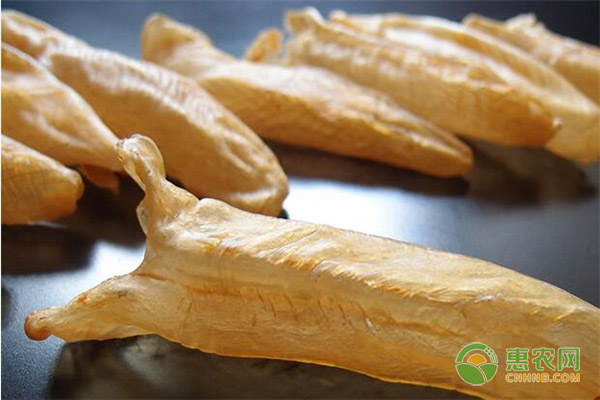 黄花鱼胶的两种做法，黄花鱼胶有何功效与作用？